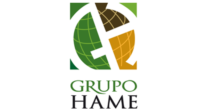 End To End Management Grupo Hame